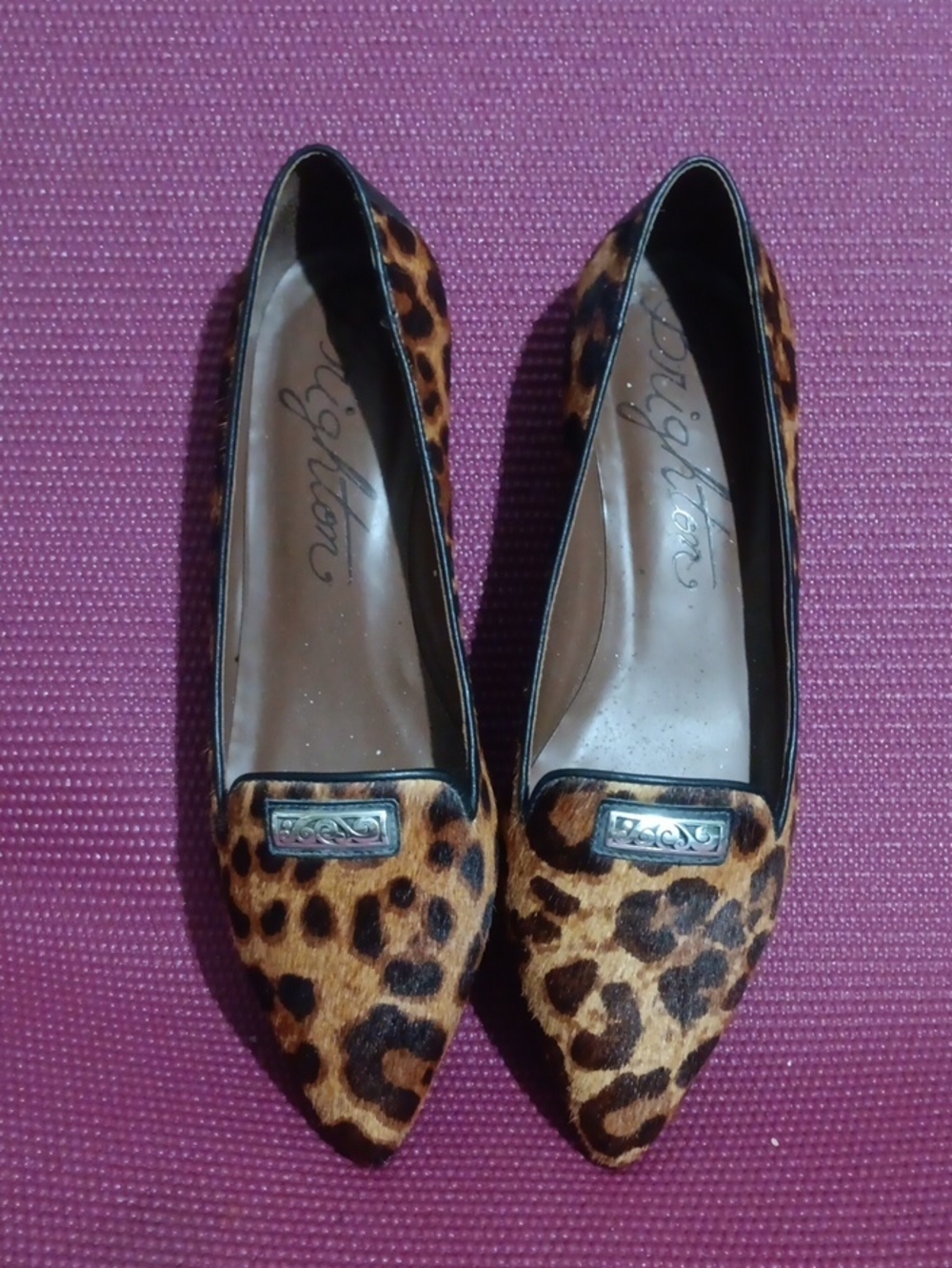 Brighton Leopard-Print Pointed Toe Flats in Brown and Black